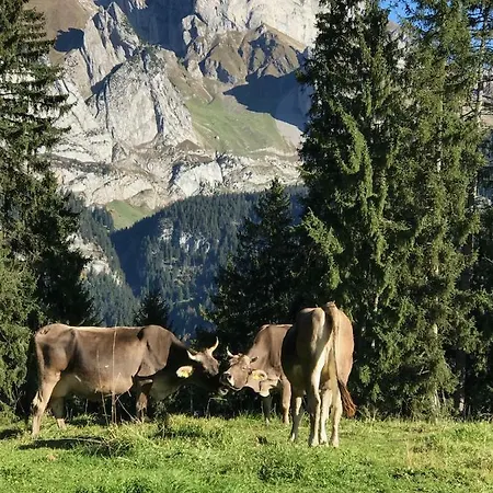 Sonnastuba Wildhaus